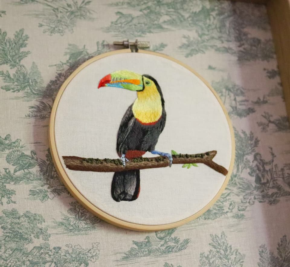 Le Toucan à bec arc-en-ciel, broderie peinture à l'aiguille